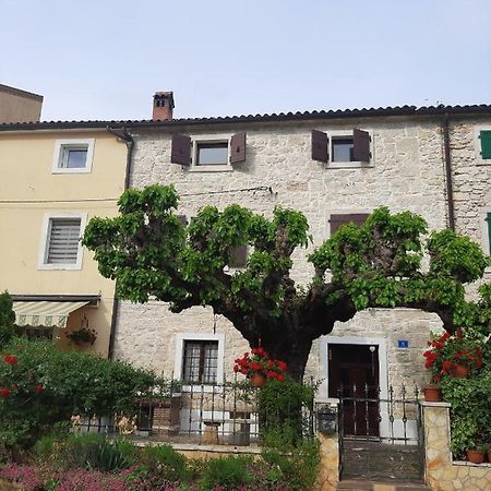 Casa Girasole Villa Buje Exterior photo